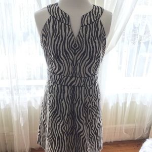 Banana Republic Heritage Zebra Print Dress